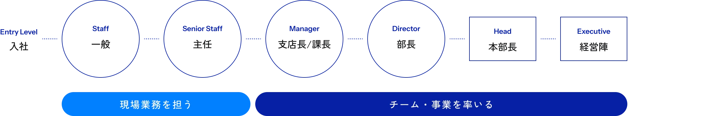 Entry Level 入社 Staff 一般 Senior Staff 主任 Manager 支店長/課長 Director 部長 Head 本部長 Executive 経営陣 現場業務を担う チーム・事業を率いる