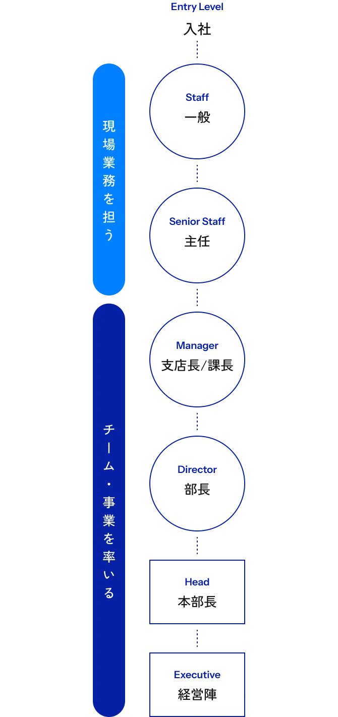 Entry Level 入社 Staff 一般 Senior Staff 主任 Manager 支店長/課長 Director 部長 Head 本部長 Executive 経営陣 現場業務を担う チーム・事業を率いる